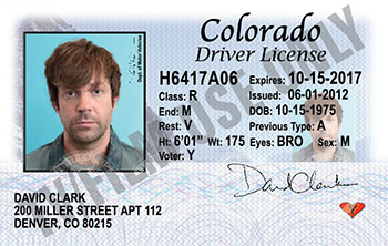 Driver's License – MA - Hand Prop Room