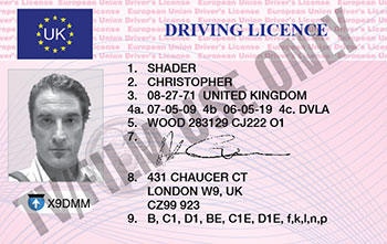 Driver's License – FL - Hand Prop Room