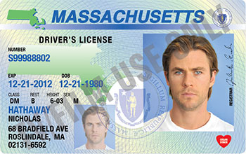 Ma Drivers Lin Driver’s License – MA - Hand Prop Room