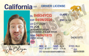 Driver's License – MA - Hand Prop Room