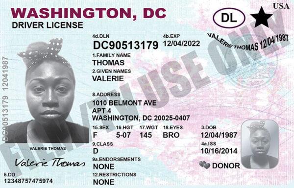 Dc Realid Driver’s License – DC - Hand Prop Room
