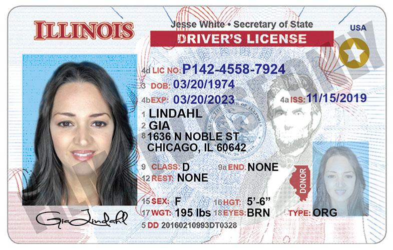 Il Driver's License Example Driver’s License – IL – Hand Prop Room