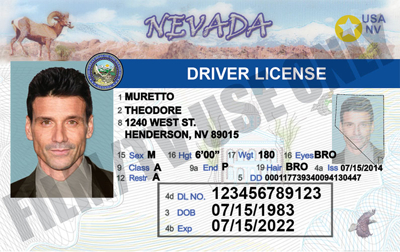 Driver's License – NV - Hand Prop Room