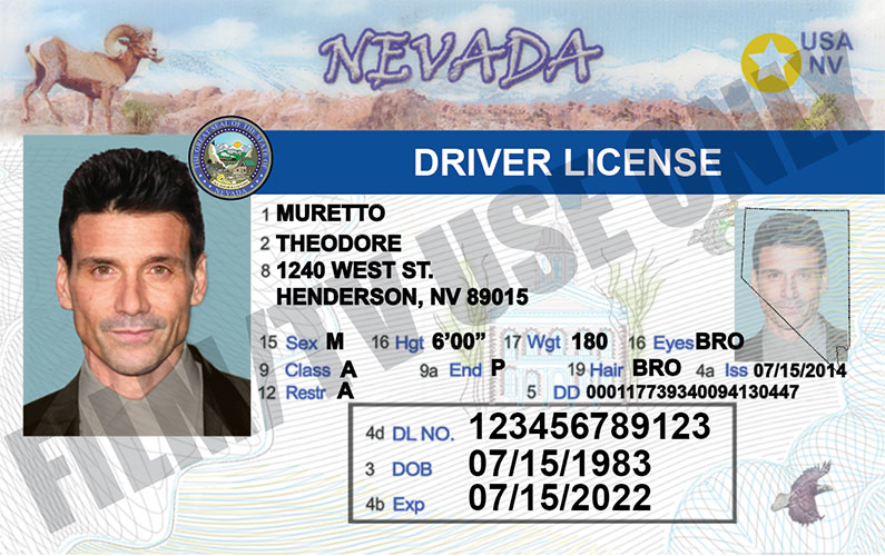 Driver s License NV Hand Prop Room