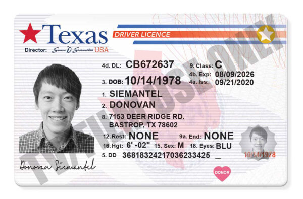 Driver S License Generic Template Hand Prop Room