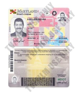 Driver's License - MD